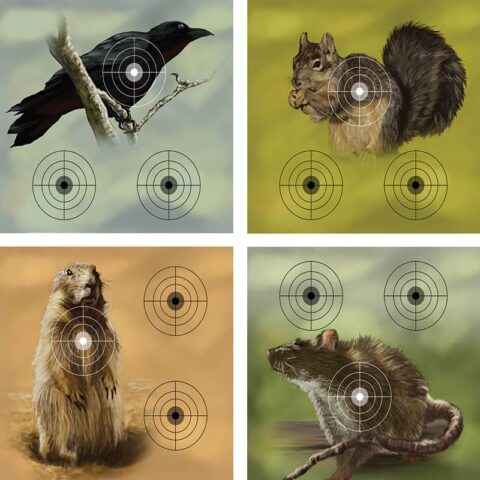 Crosman-Varmint-Targets.jpg