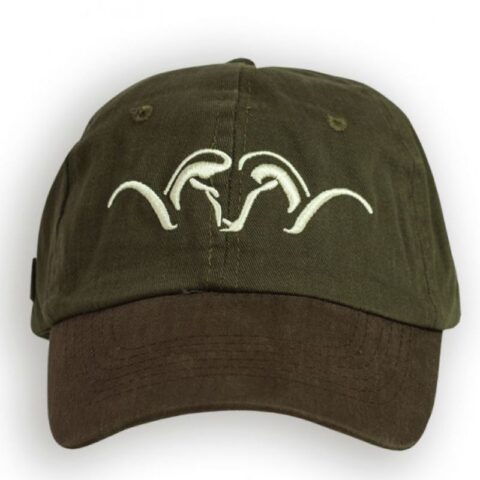 Blaser-Cap-Image.jpg